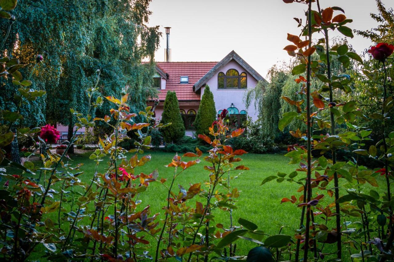 Daiconi Boutique House Bed and Breakfast Minis Eksteriør billede